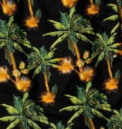 Preto - Coqueiro verde